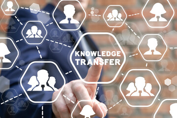 绿豆观察10天记录内容